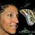 butterfly_la_h_0907_ecu2962.jpg